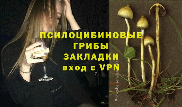 кокс Арсеньев