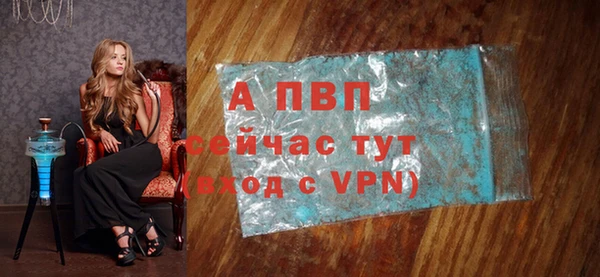 индика Вяземский