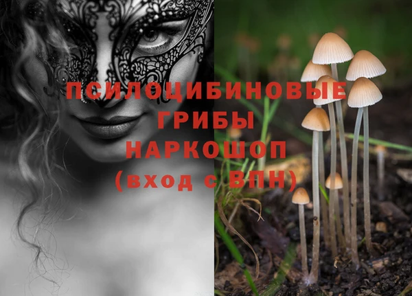 spice Аркадак