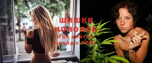 spice Аркадак